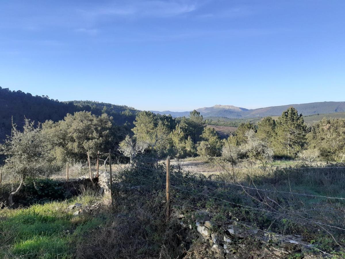 Quinta Das Lameirinhas Marvão Buitenkant foto