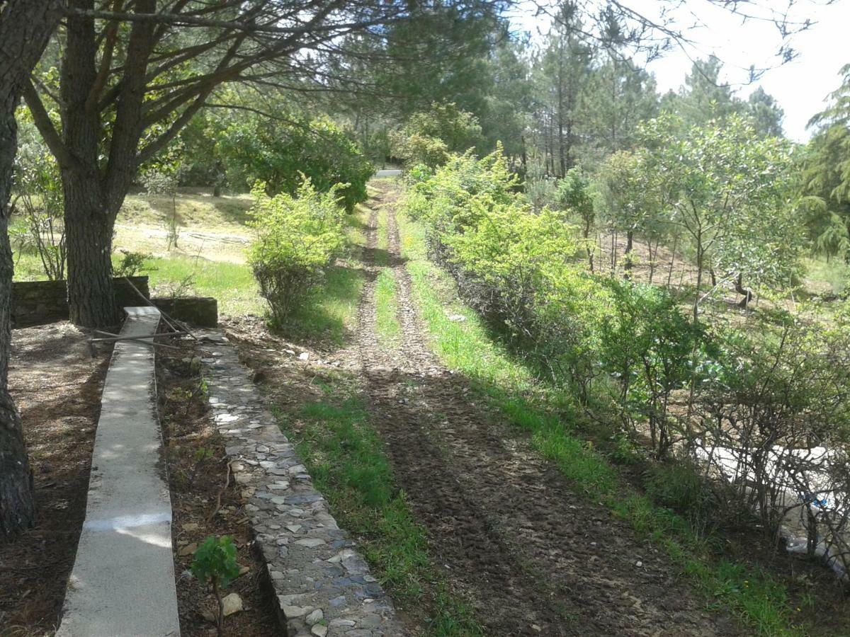 Quinta Das Lameirinhas Marvão Buitenkant foto