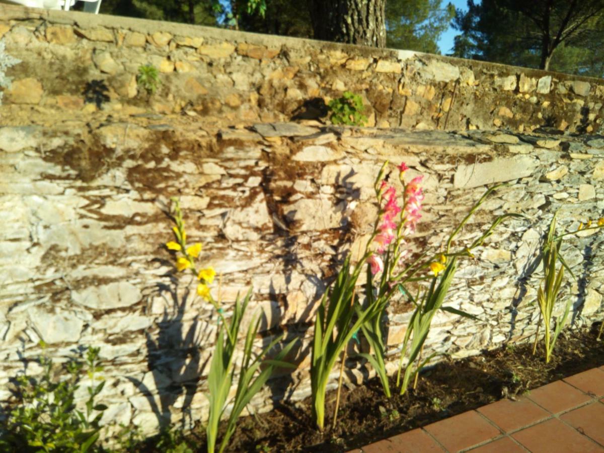 Quinta Das Lameirinhas Marvão Buitenkant foto